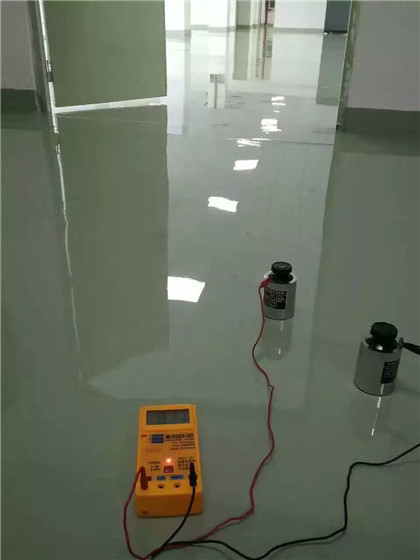 排湖风景区 防静电自流平检测